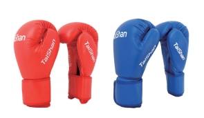Taishan Boxing Gloves PU